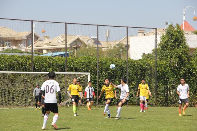 青岛男篮官宣签约外援乌莫贾-吉布森